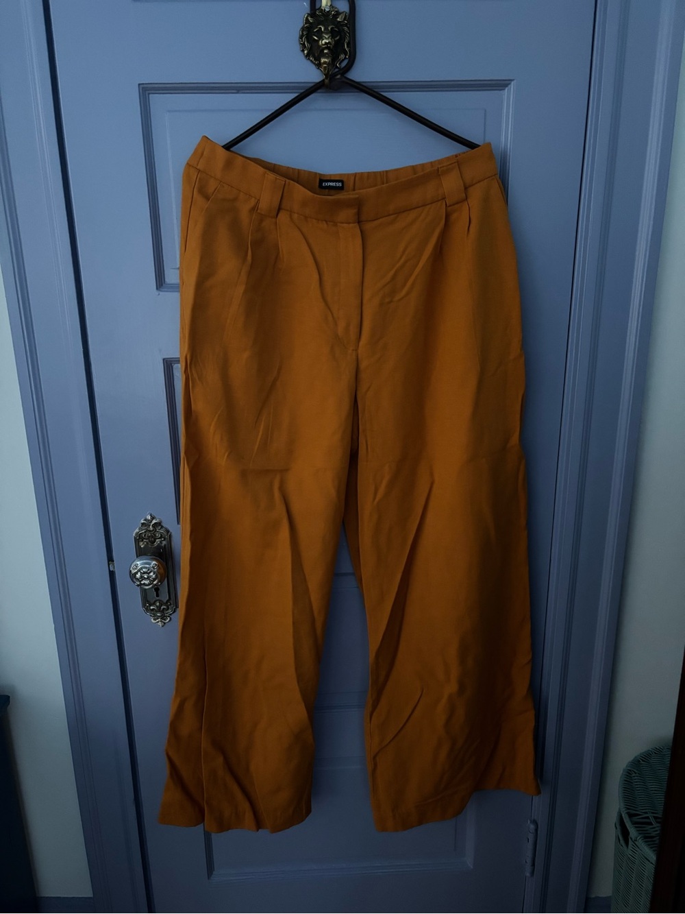 Express Women’s Wide-Leg Pants — Rust
